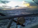 Jervis Bay Fishing Charter