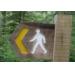 Walk & Talk @ Menai