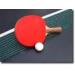 Top Shot Table Tennis Tuesday!