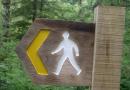 Walk & Talk @ Menai Walk & Talk @ Menai