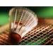 Badminton day out