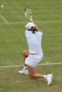 Play tennis in the sutherland shire