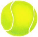 Play tennis in the sutherland shire